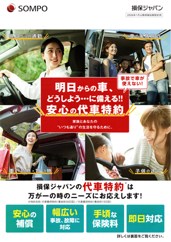 �����ԕی��̑�ԓ���