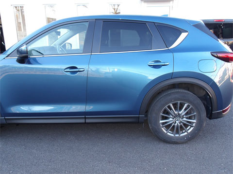 ���R�s�̃h�A�p�l��+�T�C�h�V��+�t�F���_�[����h���C��